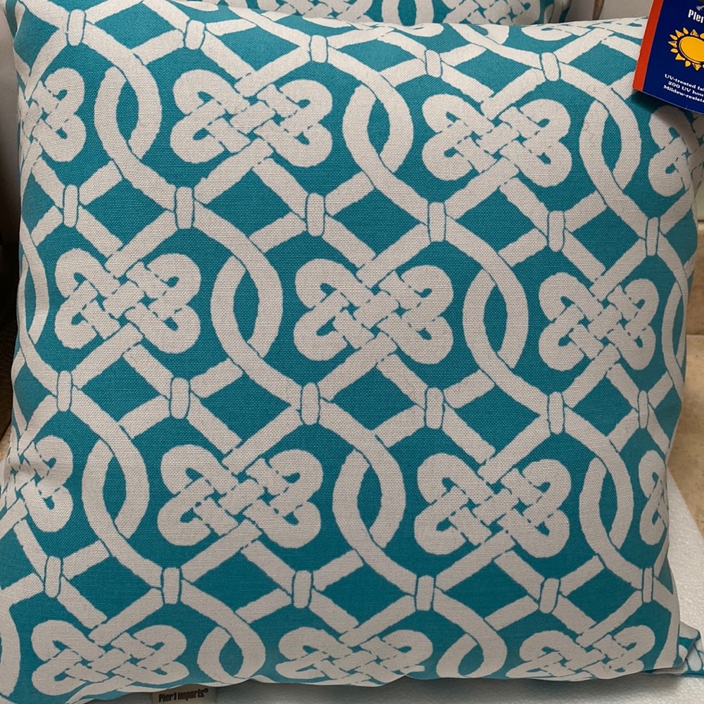 Pier one import pillows (2) . 15 by 15 . - Picture 1 of 3